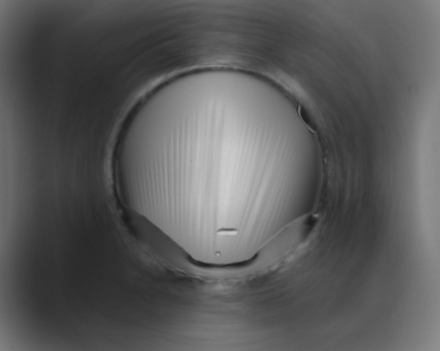 X0000088461230200706191323