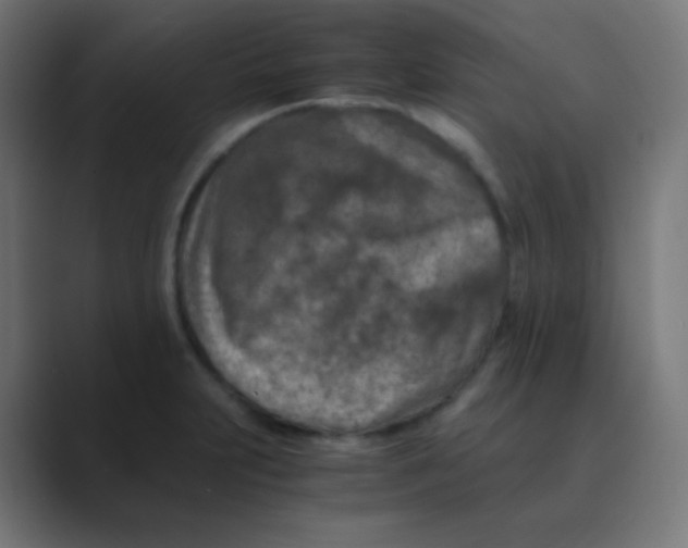 X0000088461231200706191323