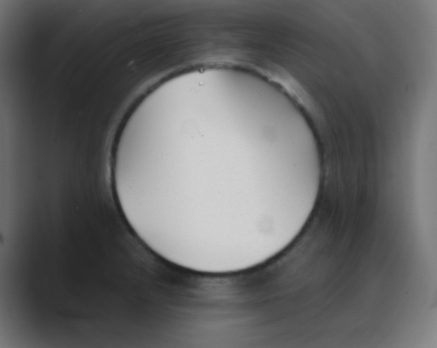 X0000088461232200706191323