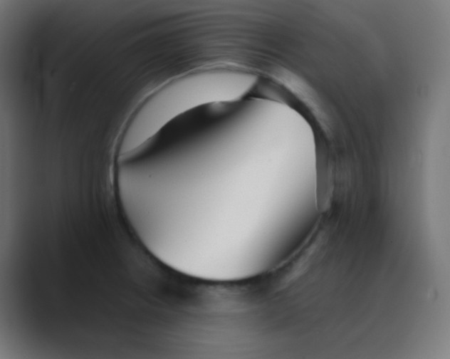 X0000088461234200706191323