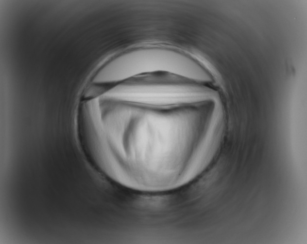 X0000088461237200706191323