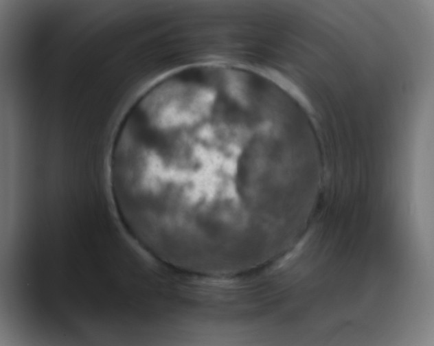 X0000088461239200706191323