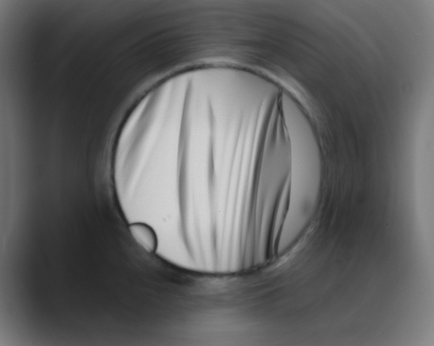 X0000088461240200706191323