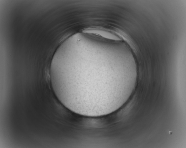 X0000088461241200706191323