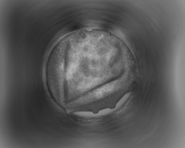 X0000088461243200706191323