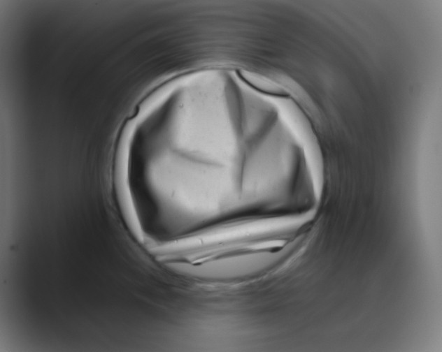 X0000088461244200706191323