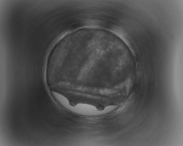 X0000088461245200706191323