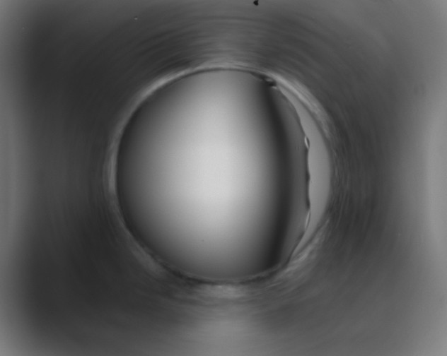 X0000088461246200706191323