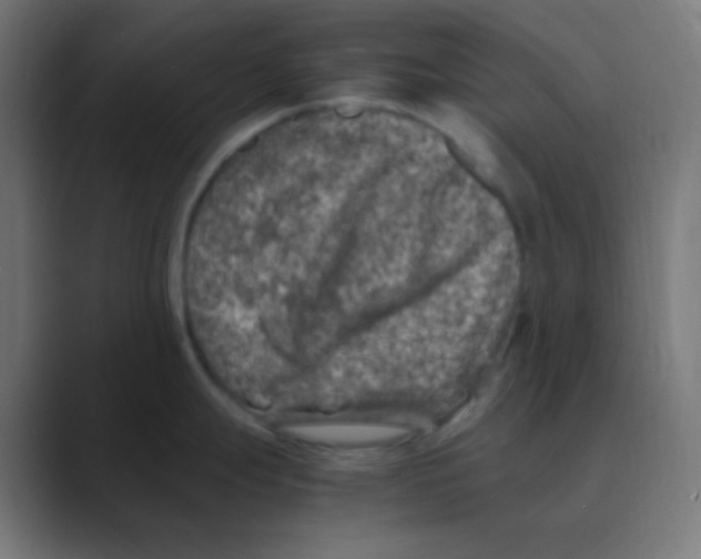 X0000088461247200706191323