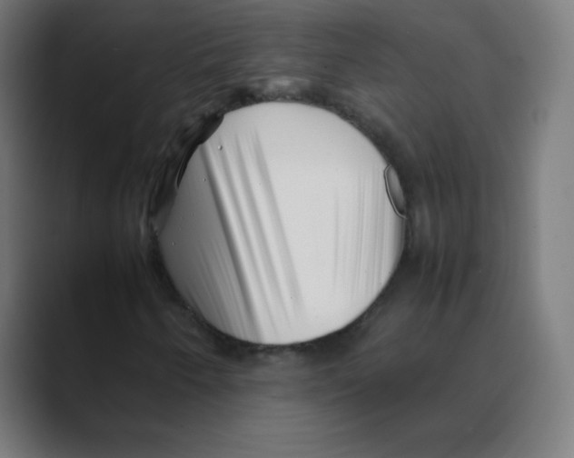 X0000088461250200706191323