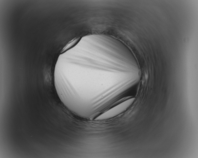 X0000088461252200706191323