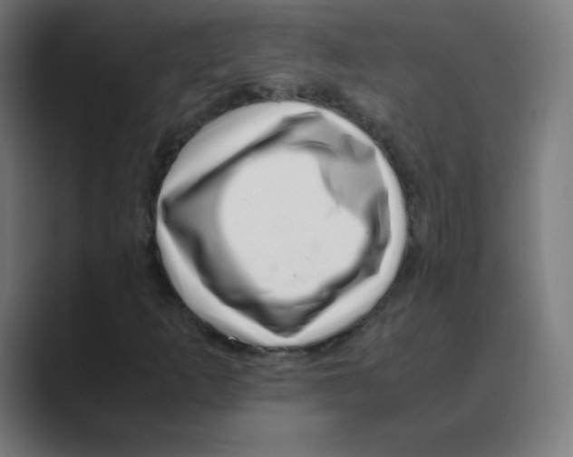 X0000088461253200706191323