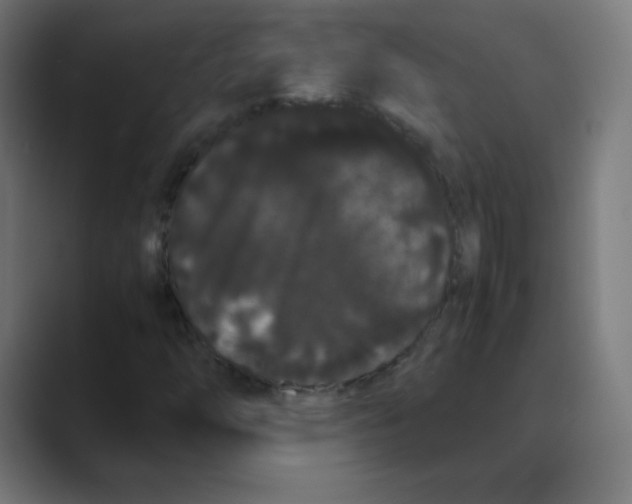 X0000088461254200706191323