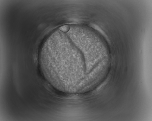 X0000088461259200706191323