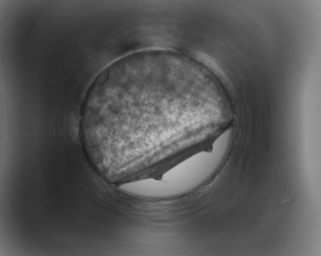 X0000088461260200706191323