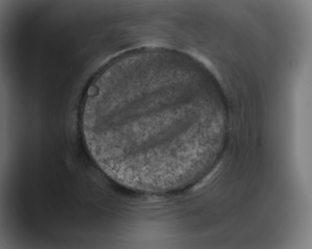 X0000088461263200706191323