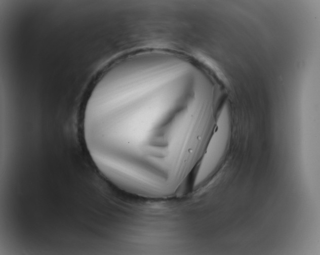 X0000088461264200706191323