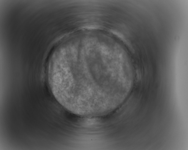 X0000088461266200706191323