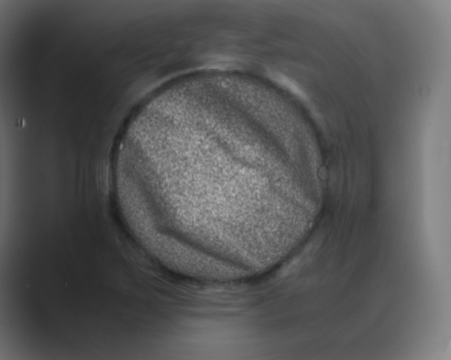 X0000088461267200706191323