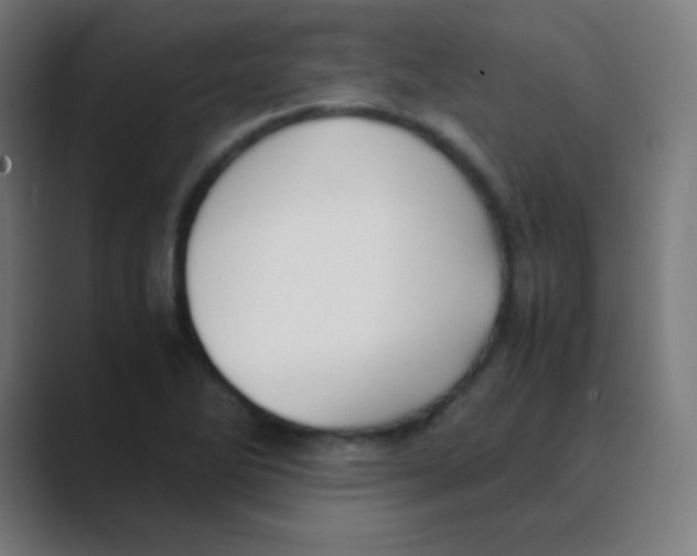 X0000088461270200706191322