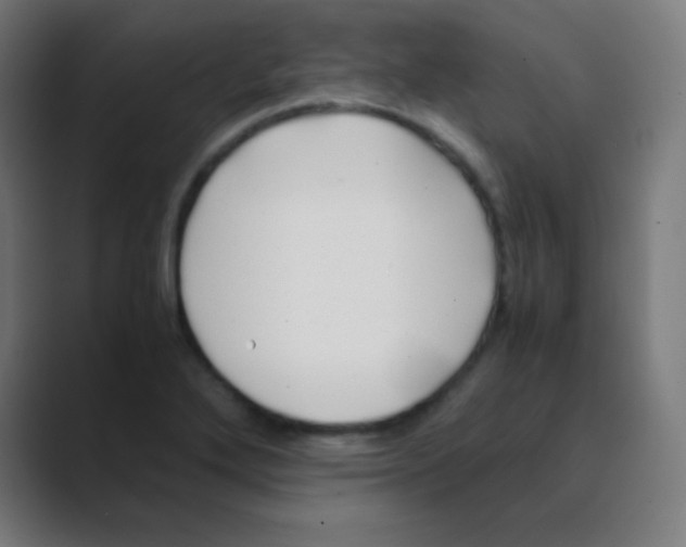 X0000088461272200706191322