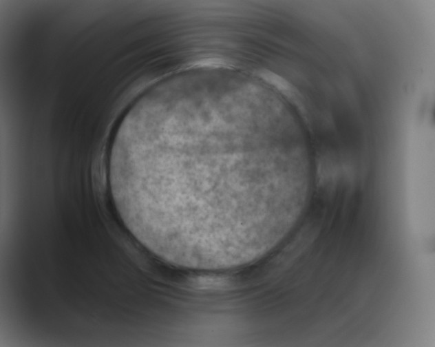 X0000088461274200706191322