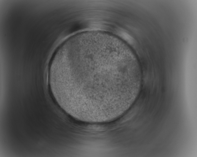 X0000088461275200706191322