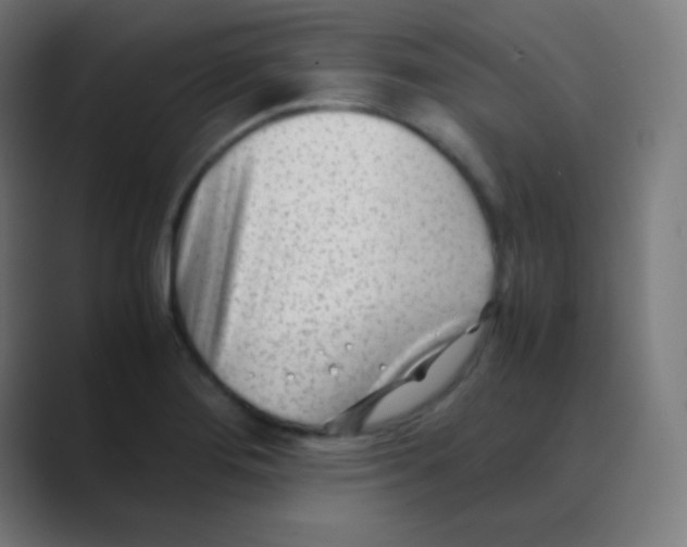 X0000088461276200706191322