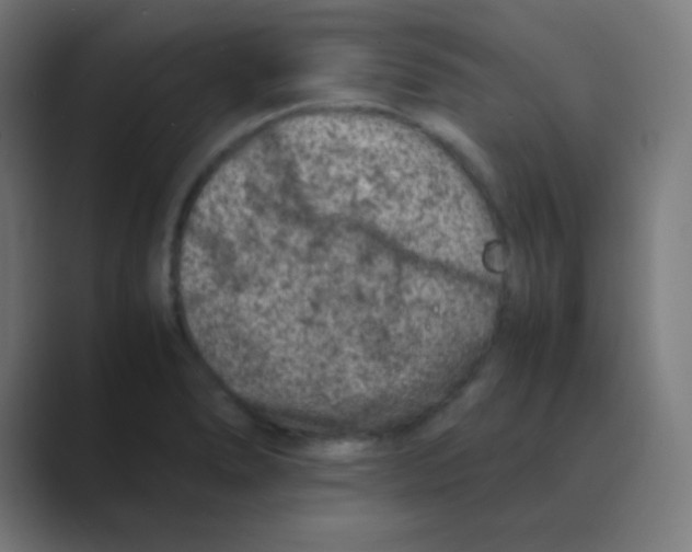 X0000088461278200706191322