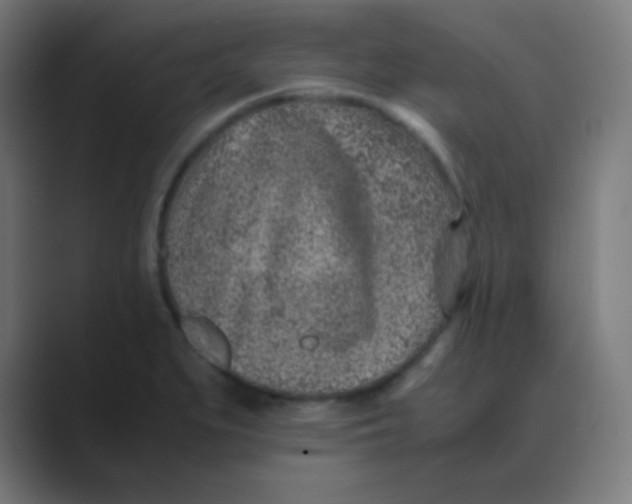 X0000088461279200706191322