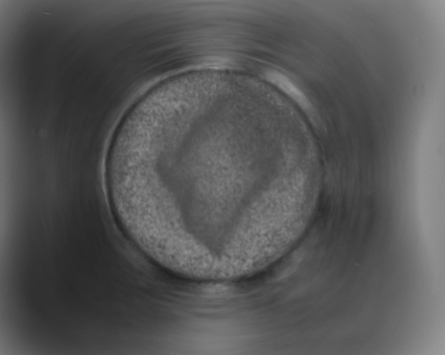 X0000088461283200706191322