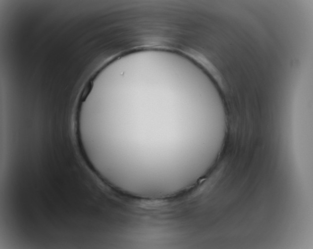 X0000088461285200706191322