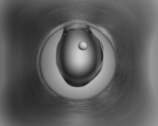 X0000088461287200706191322