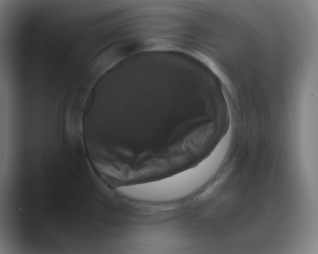 X0000088461289200706191322