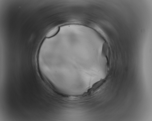 X0000088461291200706191322