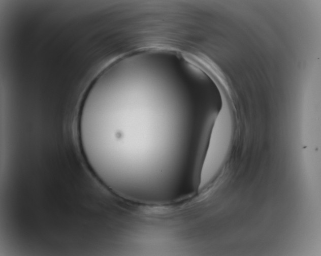 X0000088461293200706191322