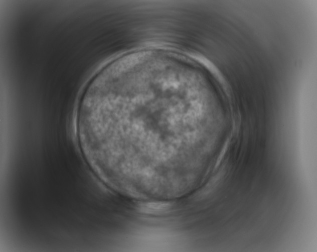 X0000088461294200706191322