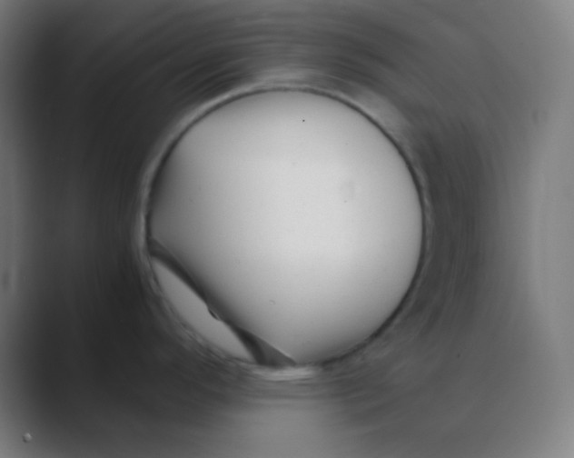 X0000088461296200706191322