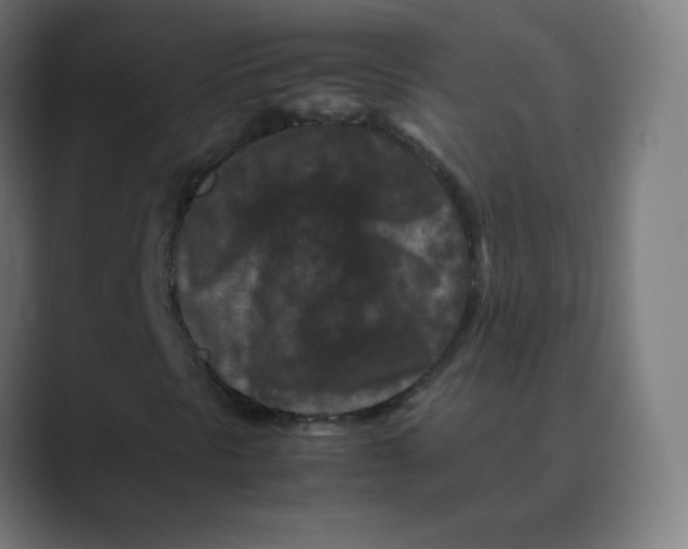 X0000088461297200706191322