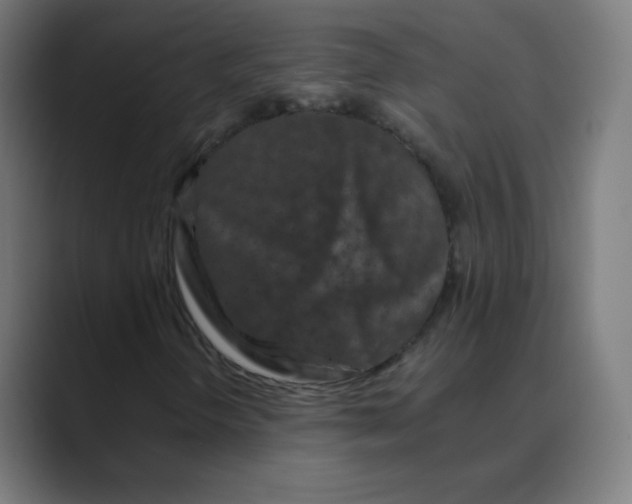 X0000088461298200706191322