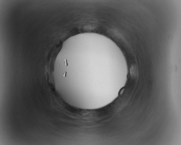 X0000088461299200706191322