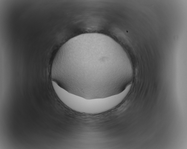 X0000088461300200706191322