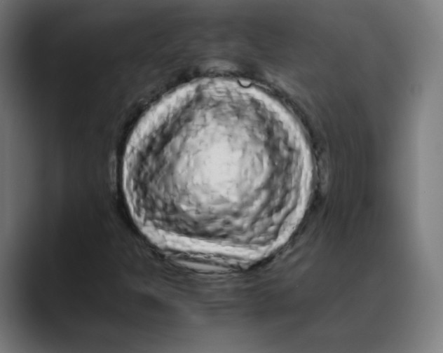 X0000088461301200706191322