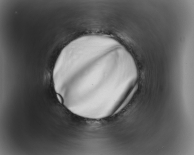 X0000088461302200706191322