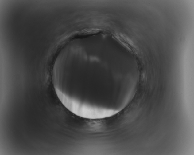 X0000088461303200706191322