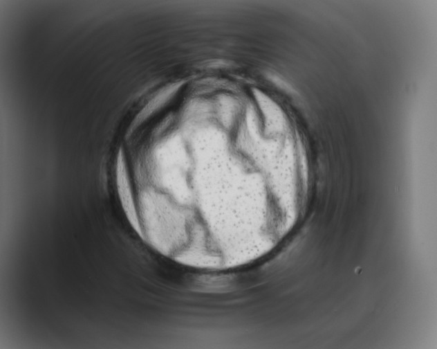 X0000088461305200706191322