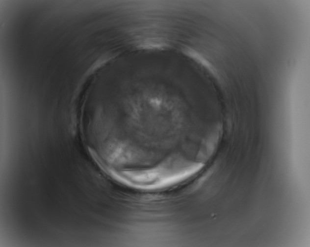 X0000088461306200706191322