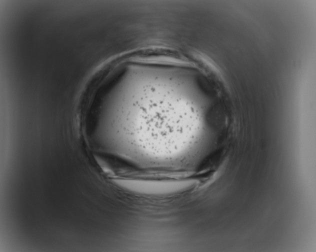 X0000088461310200706191322