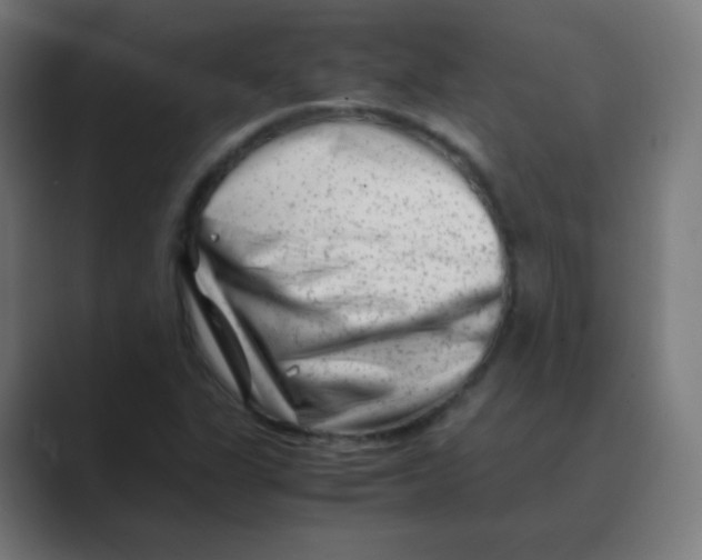 X0000088461311200706191322