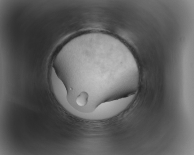 X0000088461312200706191322